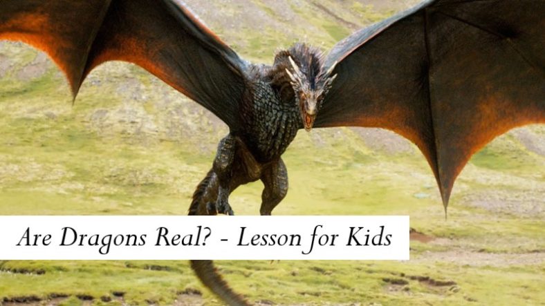 Are Dragons Real? - Lesson for Kids