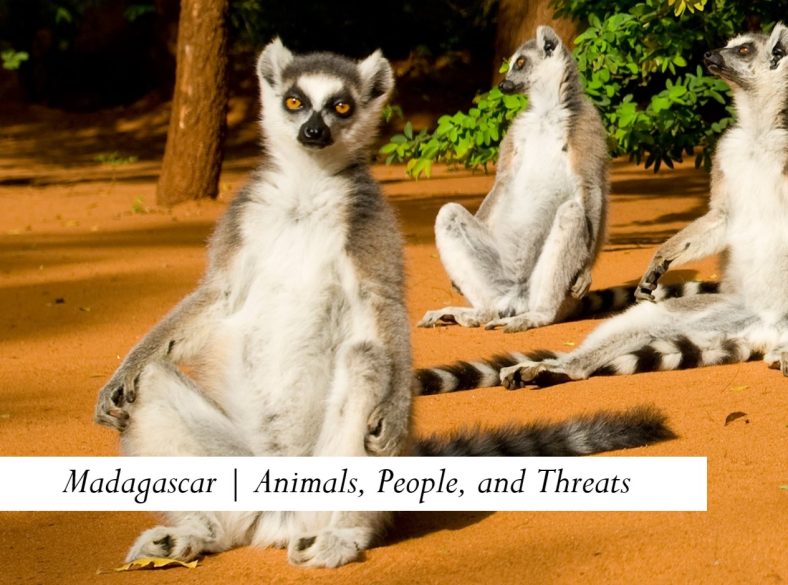 Madagascar | Animals, People, and Threats